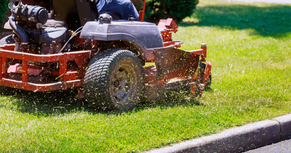 one of our team of landscapers and lawn care experts working in a garden in Detroit MI