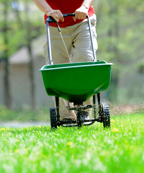 One of our team working on a garden in Detroit Michigan.